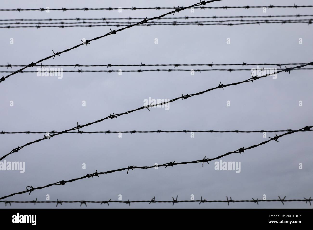 Recinzione di filo spinato nel campo di concentramento e sterminio nazista-tedesco di Auschwitz II-Birkenau a Brzezinka, nei pressi di Oswiecim, Polonia, il 27 gennaio 2022. (Foto di Beata Zawrzel/NurPhoto) Foto Stock