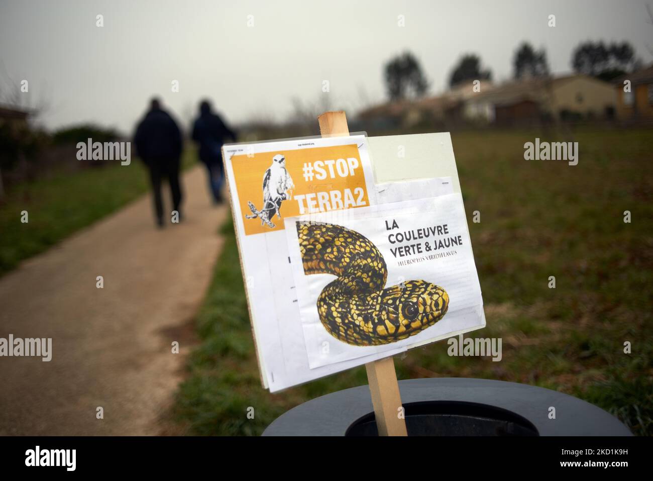 Un cartone raffigurante un serpente a frusta verde, una specie che vive dove verrà costruito il magazzino. Diverse decine di manifestanti si sono riuniti a Saint Sulpice sur Tarn chiamato dal collettivo StopTerra2. Erano presenti organizzazioni come XR, Attac, Confederation Paysanne, ecc. Si oppongono a un gigantesco magazzino progettato per Amazon o Alibaba e che copre diversi campi agricoli. Il capannone principale shoud è di 533 m di lunghezza, 125m di larghezza e 17m di altezza, sarebbe nella top 10 dei più grandi magazzini in Francia. I lavori di costruzione non avrebbero dovuto iniziare quest'inverno, come ha chiesto la fermata Terra2 Foto Stock