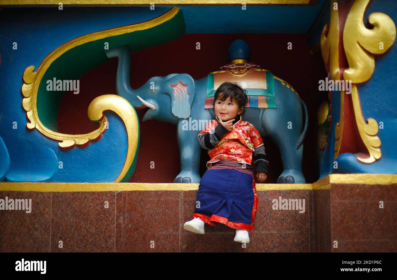 Gli indigeni della comunità etnica Tamang ballano e cantano durante Sonam Lhosar, l'avvento di Capodanno della tigre a Kathmandu, Nepal, mercoledì 2 febbraio 2022. (Foto di Saroj Baizu/NurPhoto) Foto Stock