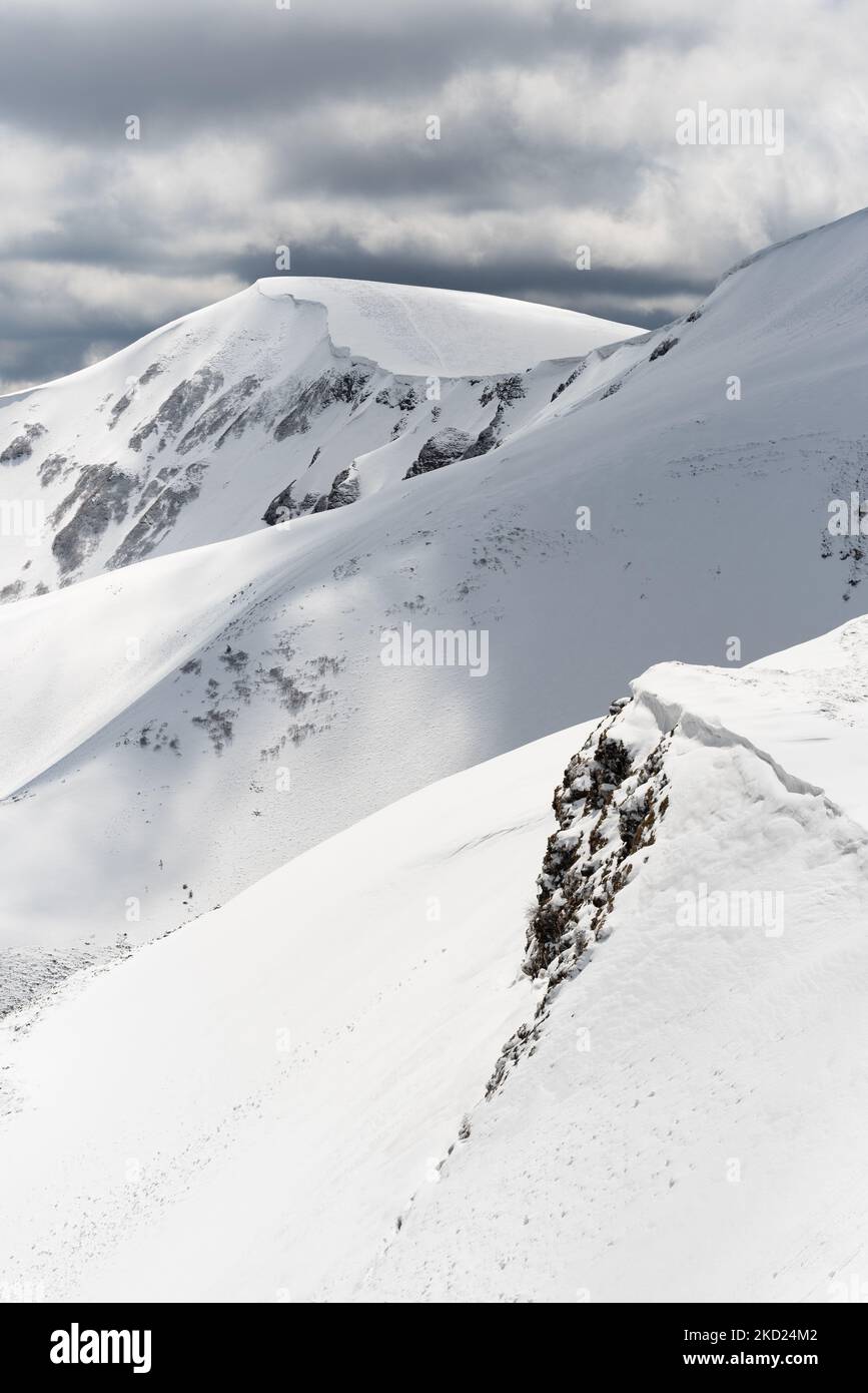 Paesaggio invernale con piste innevate Foto Stock