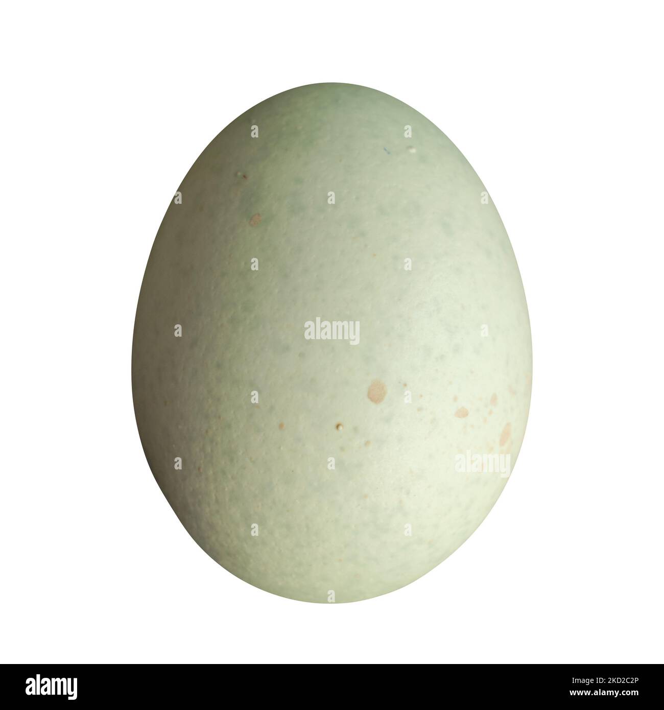 Verde Speckled Legbar Hen Egg su uno sfondo trasparente: Seafoam verde patrimonio uovo isolato su uno sfondo trasparente Foto Stock