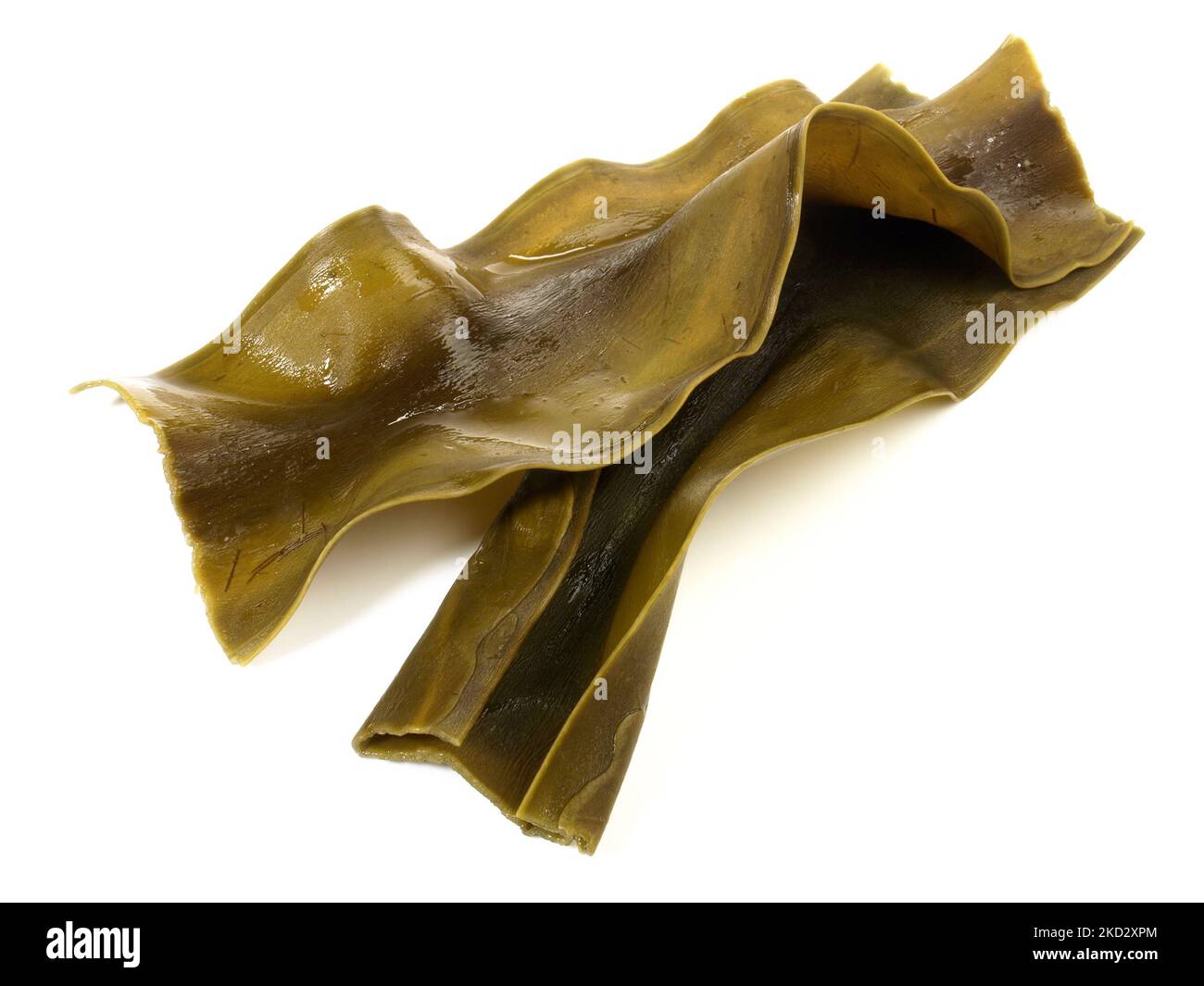 Soamed Kombu - Seaweed isoladet su sfondo bianco Foto Stock