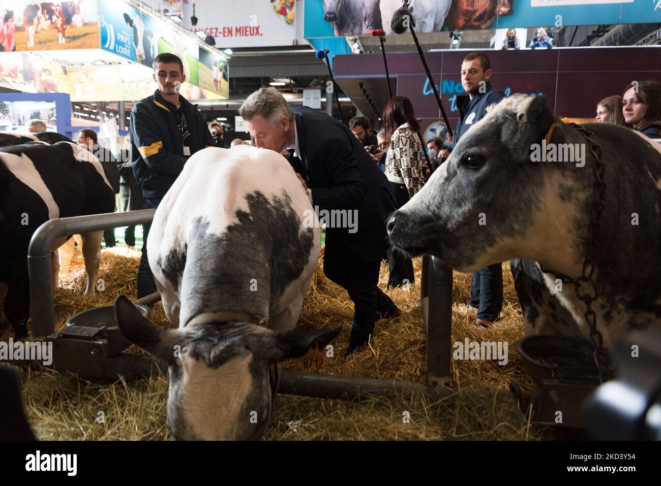 Fabien Roussel, candidato presidenziale del Partito Comunista Francese (PCF), bacia una mucca durante la tradizionale visita dei candidati presidenziali al Salone Internazionale dell'Agricoltura che si tiene attualmente al Parc des Exposition de la Porte de Versailles a Parigi il 28 febbraio 2022. (Foto di Samuel Boivin/NurPhoto) Foto Stock