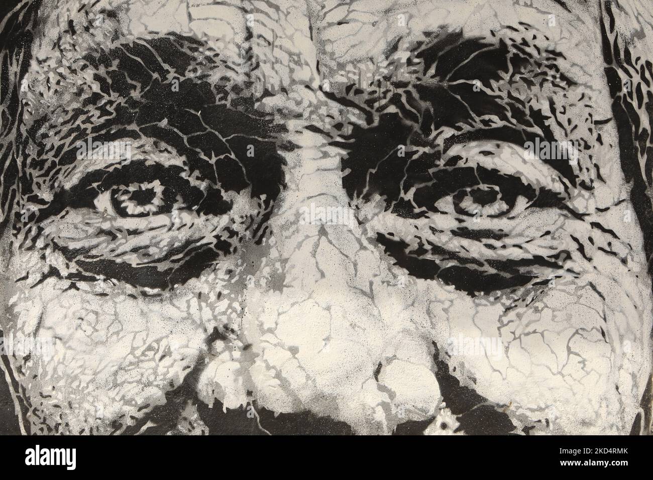 Street Art primo piano di un vecchio mans faccia su un murale nel centro storico di Lagos, Algarve, Portogallo Foto Stock