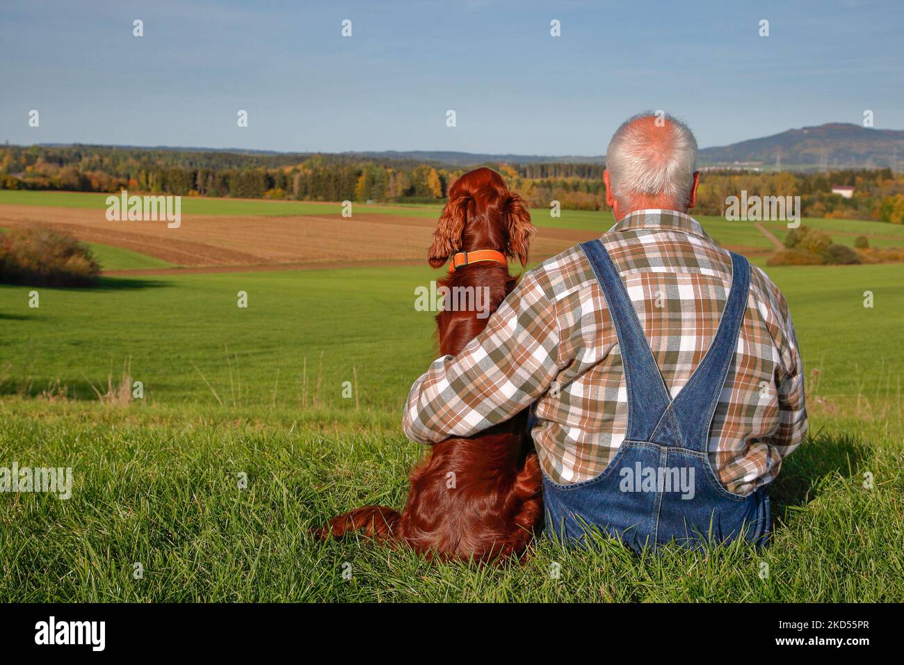 Nella calda luce del sole autunnale, un uomo anziano siede su una collina in erba e tiene amorevolmente tra le braccia il suo cane Irish Setter. Foto Stock