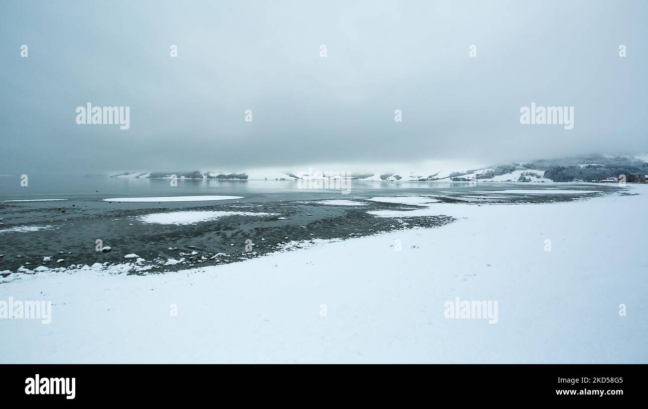 Nebbia e neve nel fiordo di Trondheim, riserva naturale di Gaulosen, nella nebbia nevosa giornata invernale. Foto Stock