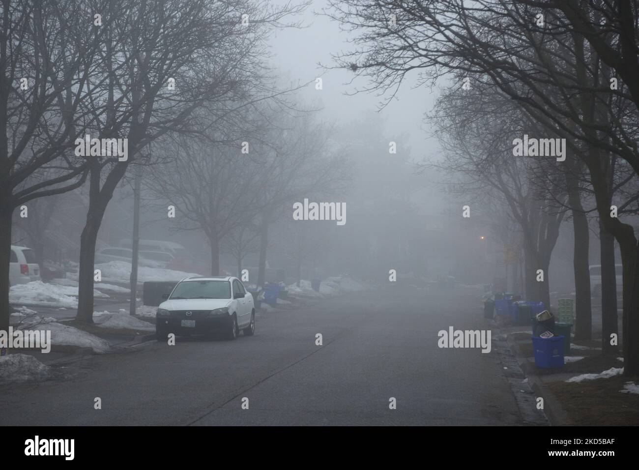 La nebbia fitta avvolge una strada residenziale nella città di Toronto, Ontario, Canada, il 17 marzo 2022. (Foto di Creative Touch Imaging Ltd./NurPhoto) Foto Stock