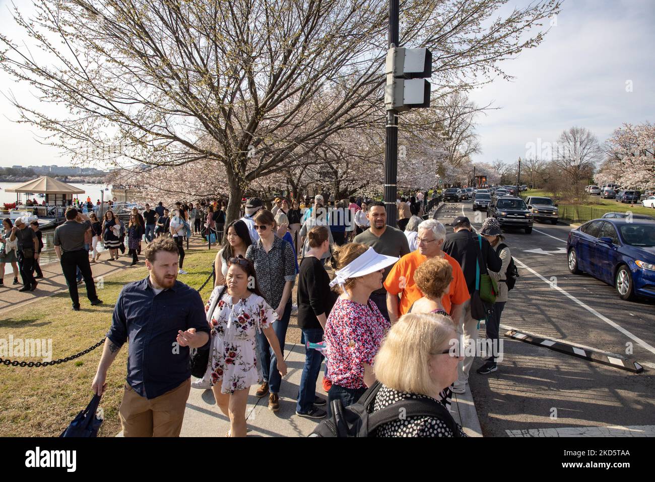 La folla visiterà il bacino del Tidal a Washington, D.C. il 22 marzo 2022, mentre gli alberi di ciliegio raggiungono la loro fase di 'fiore di picco', definita come quando il 70% degli alberi di ciliegio di Yoshino lungo il bacino sono fioriti. (Foto di Bryan Olin Dozier/NurPhoto) Foto Stock