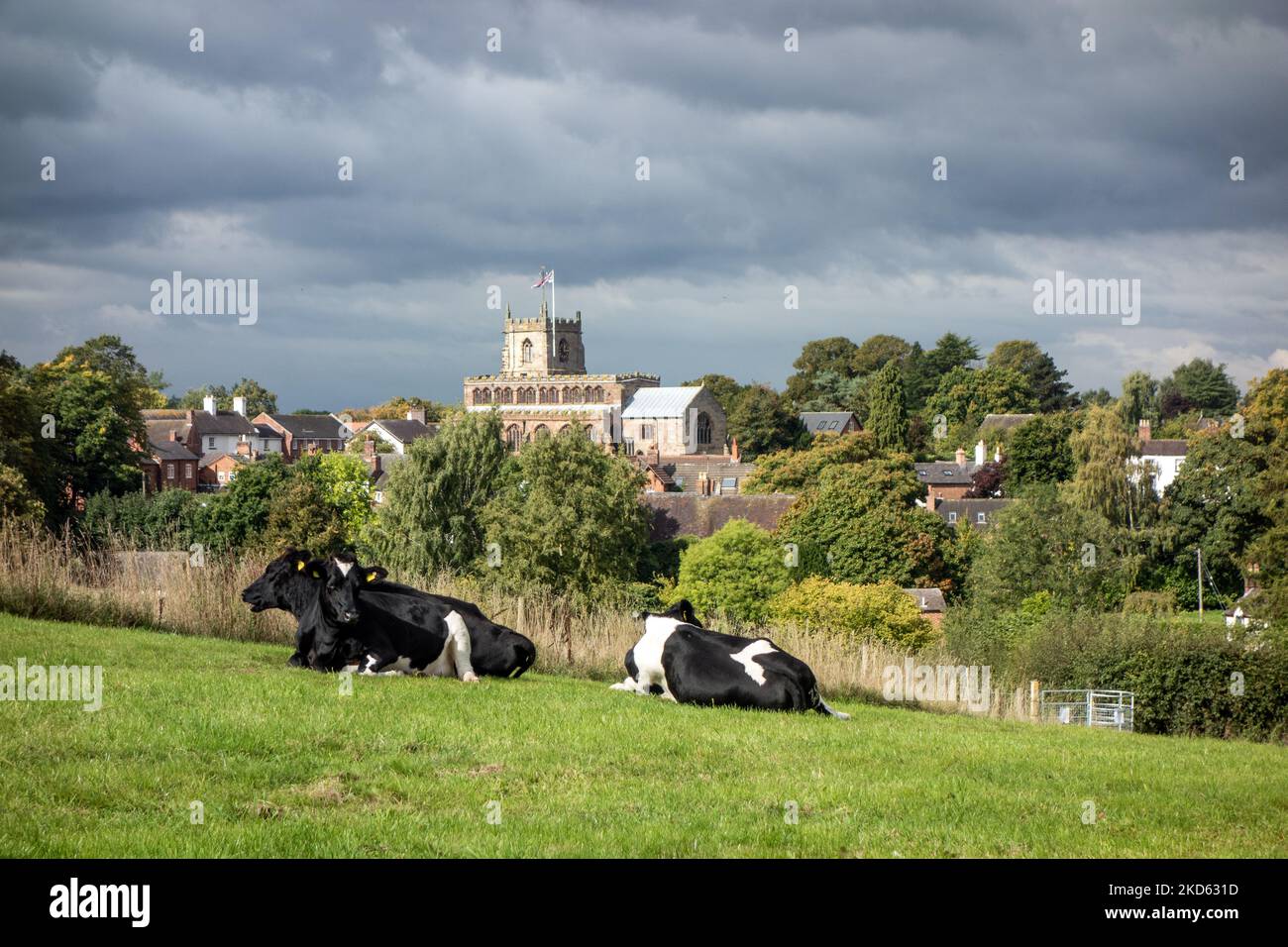 La Chiesa Parrocchiale di San Giacomo il Grande nel villaggio Cheshire di Audlem sembrano oltre campagna terreno agricolo con mucche giacciono nei prati Foto Stock