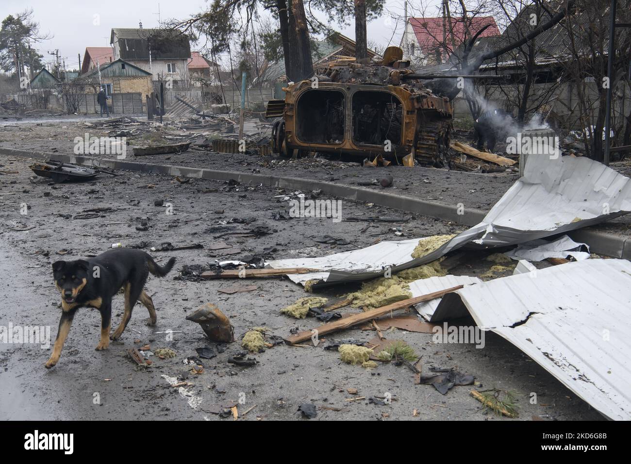 Distrusse carri armati russi e macchine corazzate dopo la liberazione Ucraina Dmitrovka villaggio vicino Kyiv, Ucraina, 02 aprile 2022. (Foto di Maxym Marusenko/NurPhoto) Foto Stock