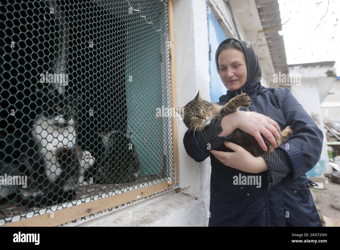 Una suora si prende cura dei gatti presso il monastero delle donne di San Arcangelo di Odesa, Ucraina, il 7 aprile 2022. Il monastero delle donne salva i gatti lasciati dai loro proprietari che sono fuggiti a causa della guerra, in mezzo all'invasione russa dell'Ucraina. (Foto di Str/NurPhoto) Foto Stock