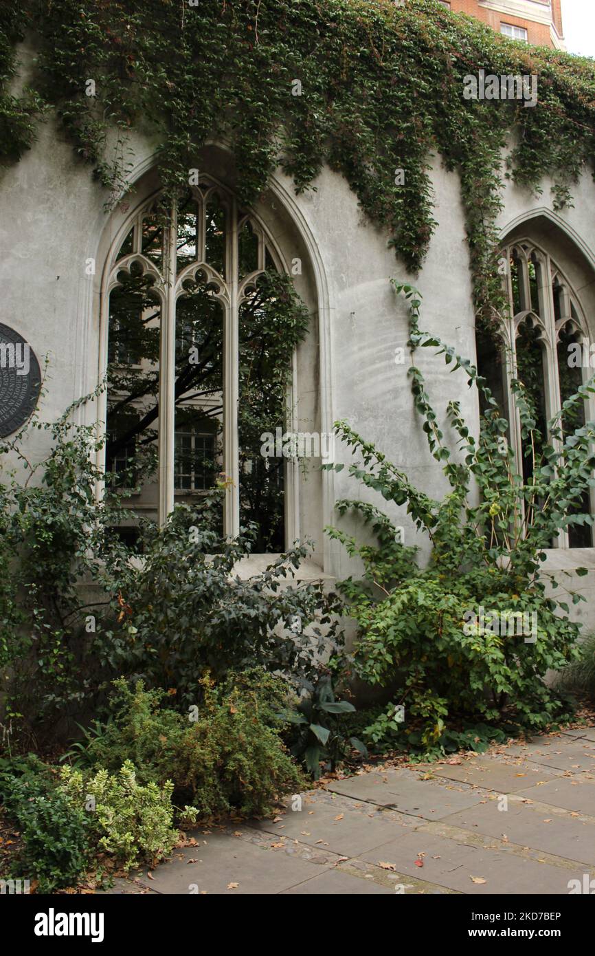 Finestre a St Dunstan nell'East Church Garden, finestre del chiostro in pietra medievale con viti che crescono intorno a loro (City of London). Rovina ben conservata Foto Stock