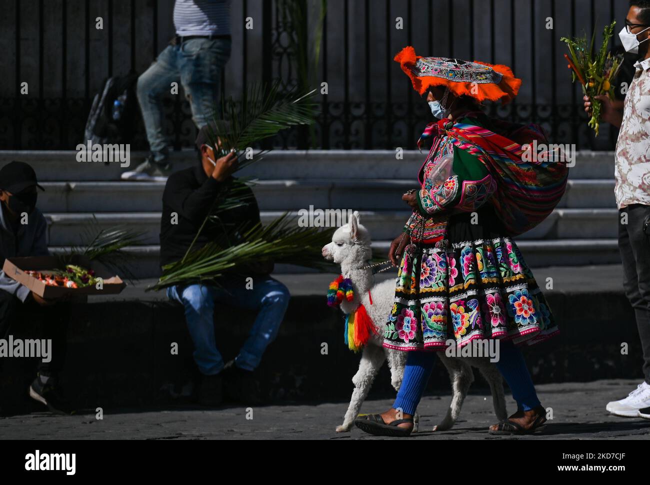 Una donna con un bambino alpaca cammina davanti alle persone con palme tradizionali artigianali utilizzate per le celebrazioni della Domenica delle Palme in attesa di entrare nella Basilica Cattedrale di Arequipa. Dopo due anni di sospensione a causa della pandemia del COVID-19, la settimana Santa sarà celebrata di persona nel paese. Le autorità sanitarie hanno esortato i loro cittadini, i turisti nazionali e internazionali a rispettare le misure del Covid-19 durante la celebrazione. Domenica 10 aprile 2022 ad Arequipa, Perù. (Foto di Artur Widak/NurPhoto) Foto Stock