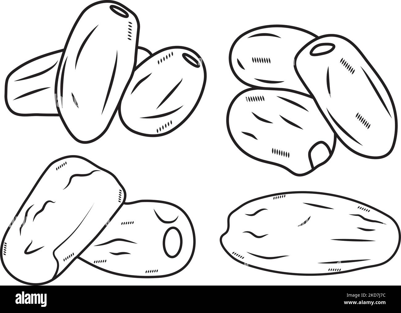 Illustrazione vettoriale di frutta di data. Frutta secca Phoenix. logo , simbolo, icona per il web e la stampa Illustrazione Vettoriale