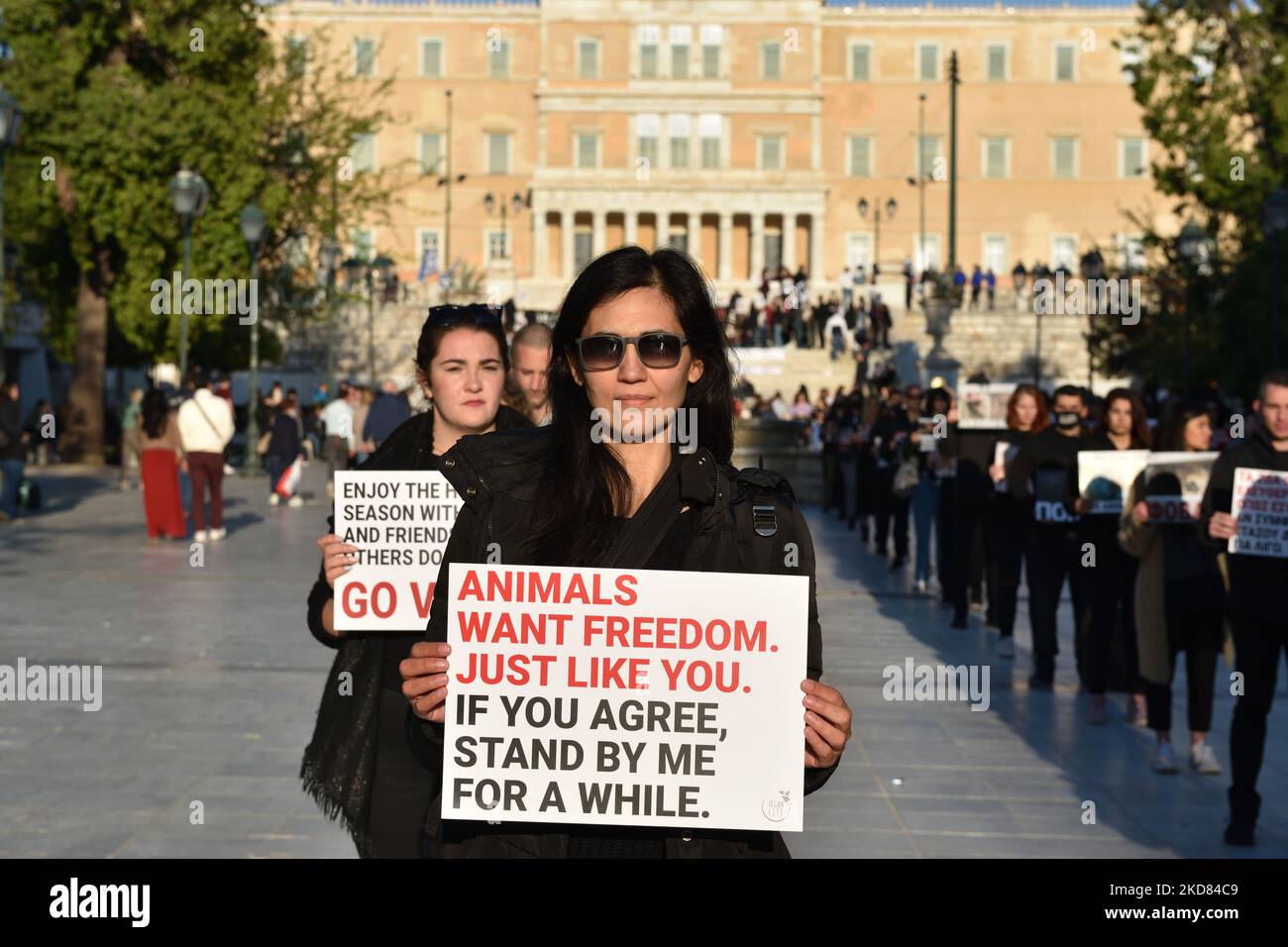 Attivisti per i diritti degli animali che detengono cartelli protestano in piazza Syntagma ad Atene contro la massacro di agnelli da consumare la domenica di Pasqua greco-ortodossa, il 20 aprile 2022 ad Atene, Grecia. (Foto di Nicolas Koutsokostas/NurPhoto) Foto Stock