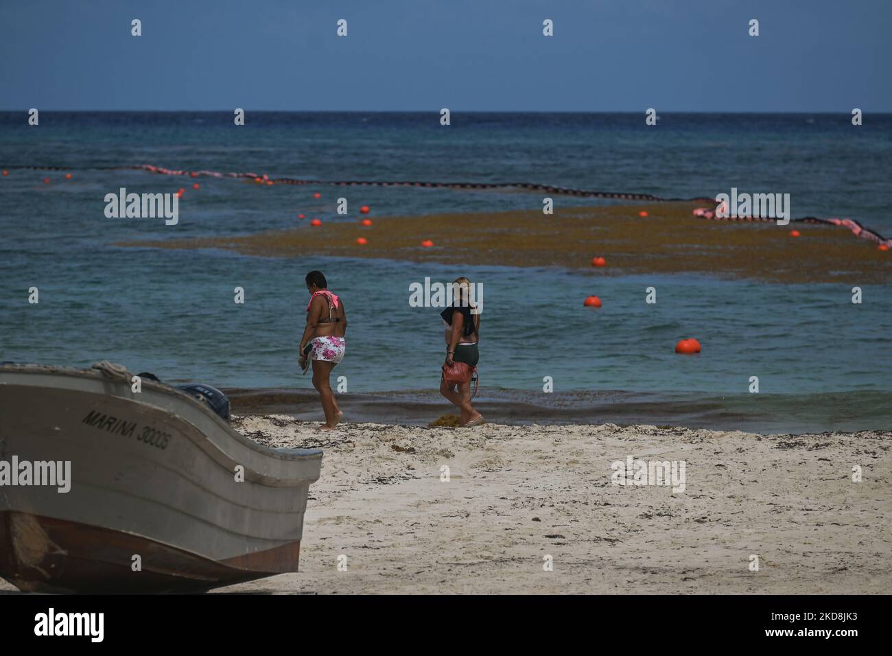 Vista sulle alghe di sargassum vicino alla spiaggia di Playa del Carmen. Sargassum continua a soffocare le spiagge di Playa del Carmen causando problemi e chiusure. Alcune spiagge e i pulitori della spiaggia sono sopraffatti, tuttavia, i funzionari sono fuori la pulizia su una base quotidiana. Mercoledì 27 aprile 2022, a Playa del Carmen, Quintana Roo, Messico. (Foto di Artur Widak/NurPhoto) Foto Stock