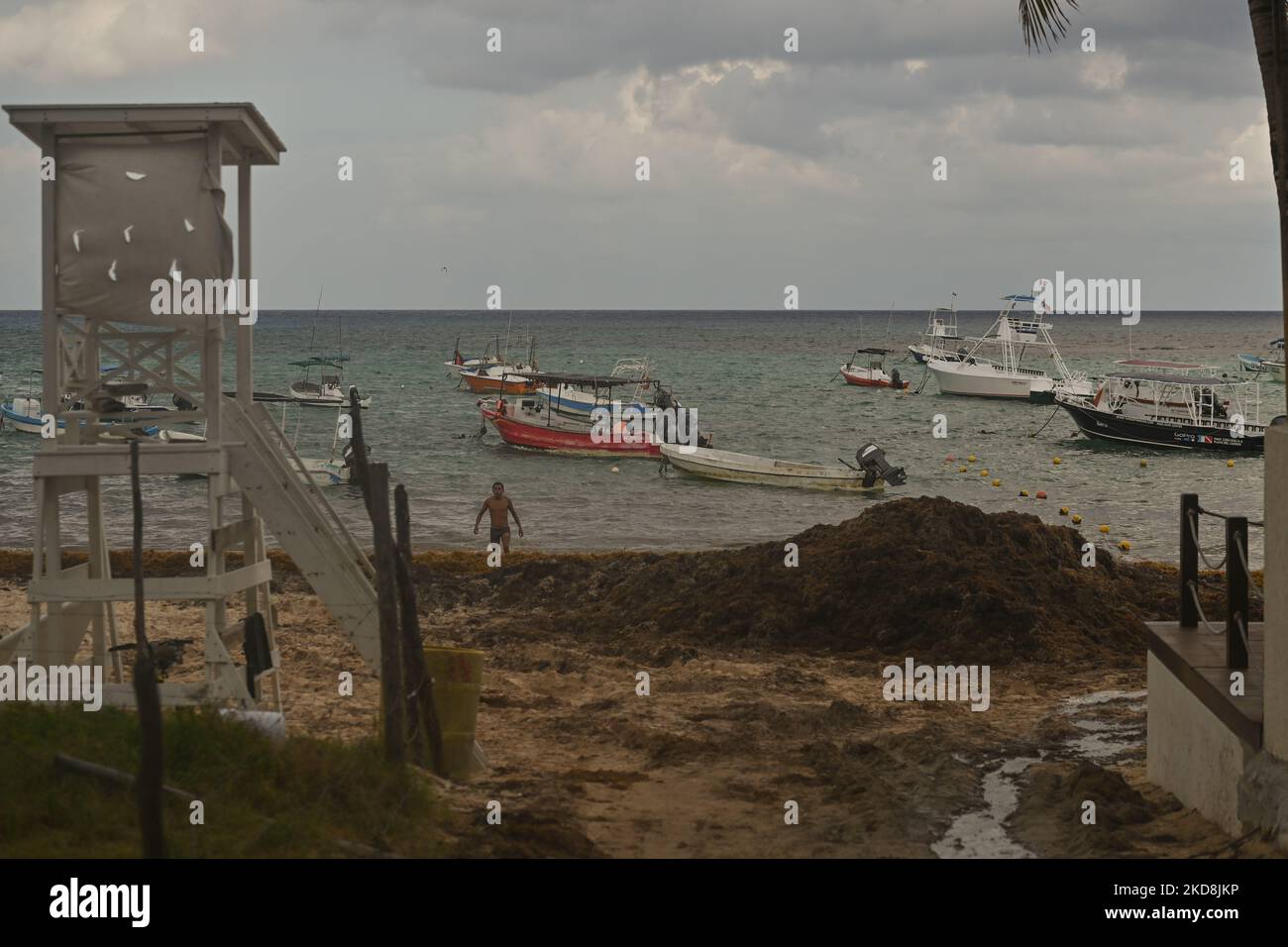 Spiaggia di Playa del Carmen, parzialmente coperta di alghe di sargassum. Sargassum continua a soffocare le spiagge di Playa del Carmen causando problemi e chiusure. Alcune spiagge e i pulitori della spiaggia sono sopraffatti, tuttavia, i funzionari sono fuori la pulizia su una base quotidiana. Mercoledì 27 aprile 2022, a Playa del Carmen, Quintana Roo, Messico. (Foto di Artur Widak/NurPhoto) Foto Stock