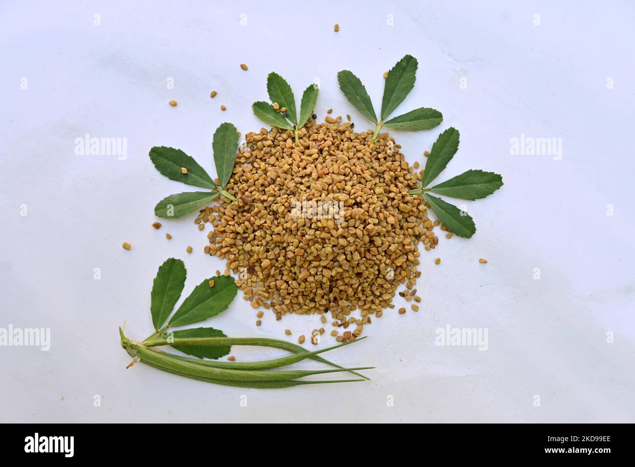 Una vista dall'alto dei semi di fieno e delle foglie posate su uno sfondo bianco nella cucina Foto Stock