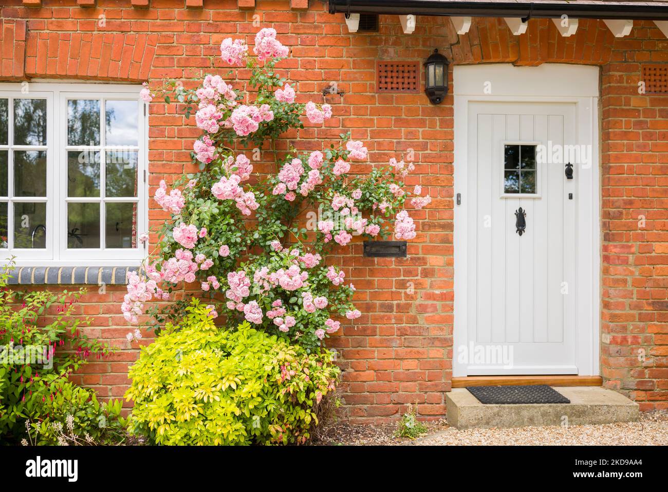 Casa vittoriana inglese esterna con porta anteriore, finestra in legno e rosa cespuglio. Inghilterra, Regno Unito Foto Stock