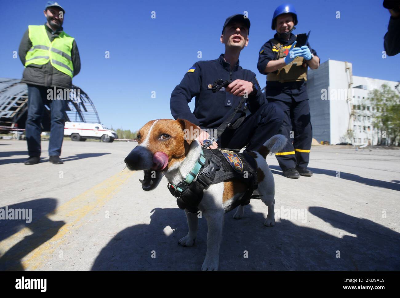 Un cane di nome 'Patron' che si è addestrato alla ricerca di esplosivi è visto con sappers ucraini, in mezzo all'invasione russa in Ucraina, presso l'Hostomel Airfield vicino a Kyiv, Ucraina 5 maggio 2022. (Foto di Str/NurPhoto) Foto Stock