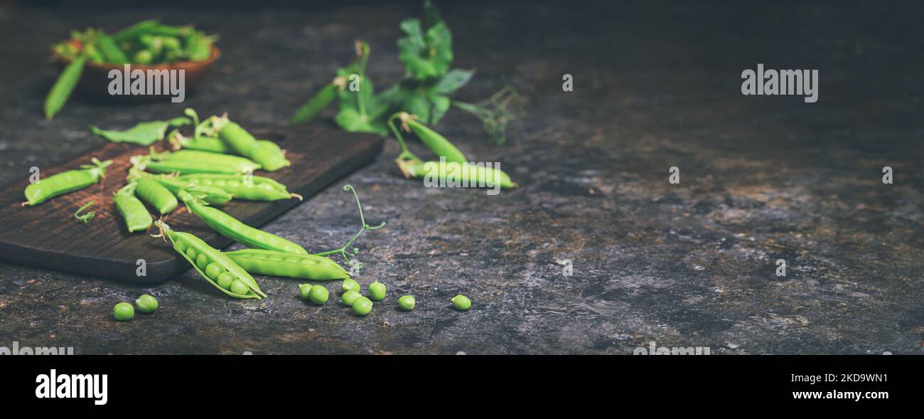 Vita ferma rurale, banner orizzontale - vista del raccolto di piselli, messa a fuoco selettiva, primo piano su uno sfondo scuro con spazio per il testo. Il concetto di raccolto Foto Stock