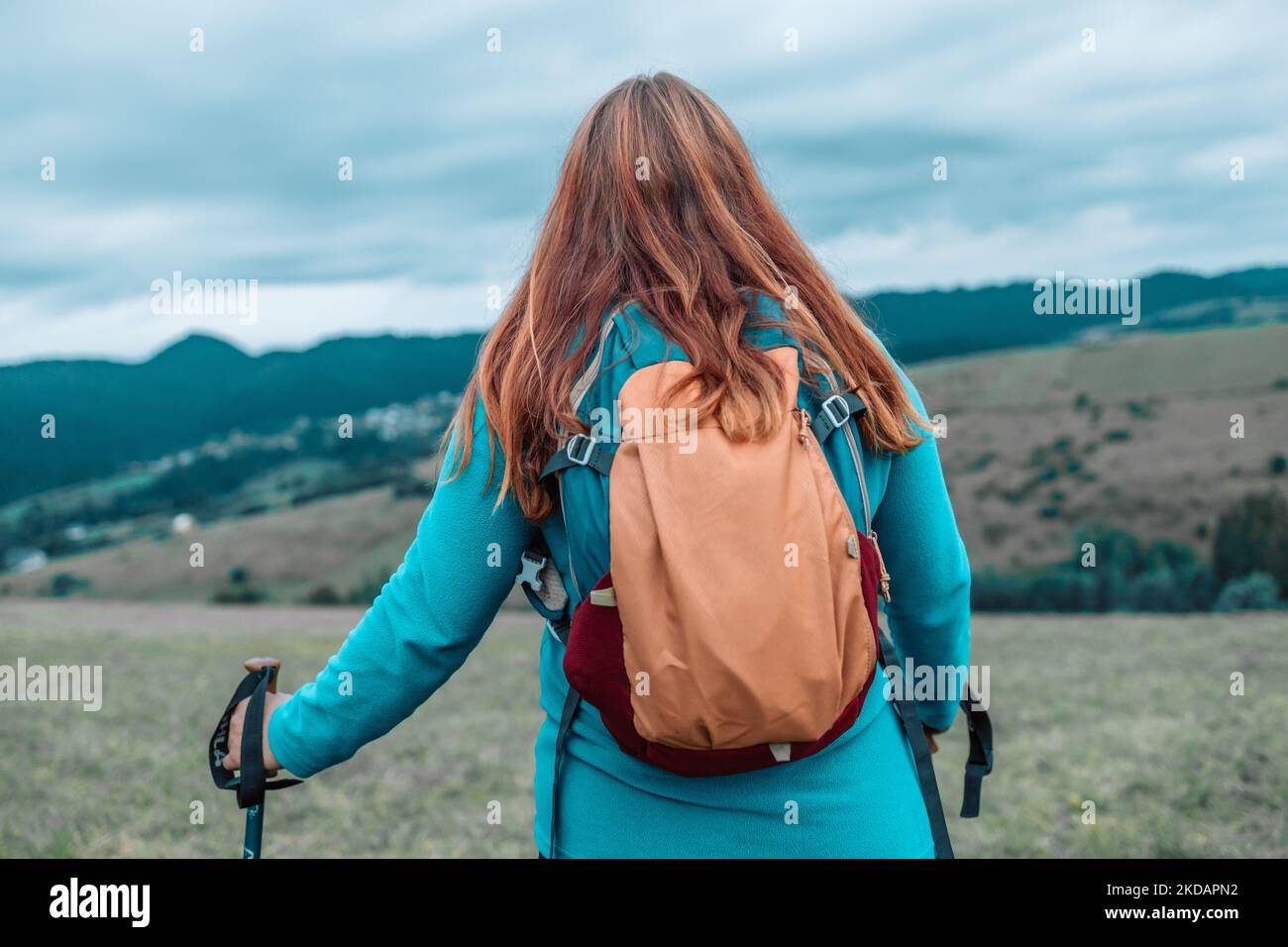 Vista posteriore di una donna viaggiatore con uno zaino che guarda la catena montuosa e vista pittoresca nella foresta di abeti di montagna. Foto Stock