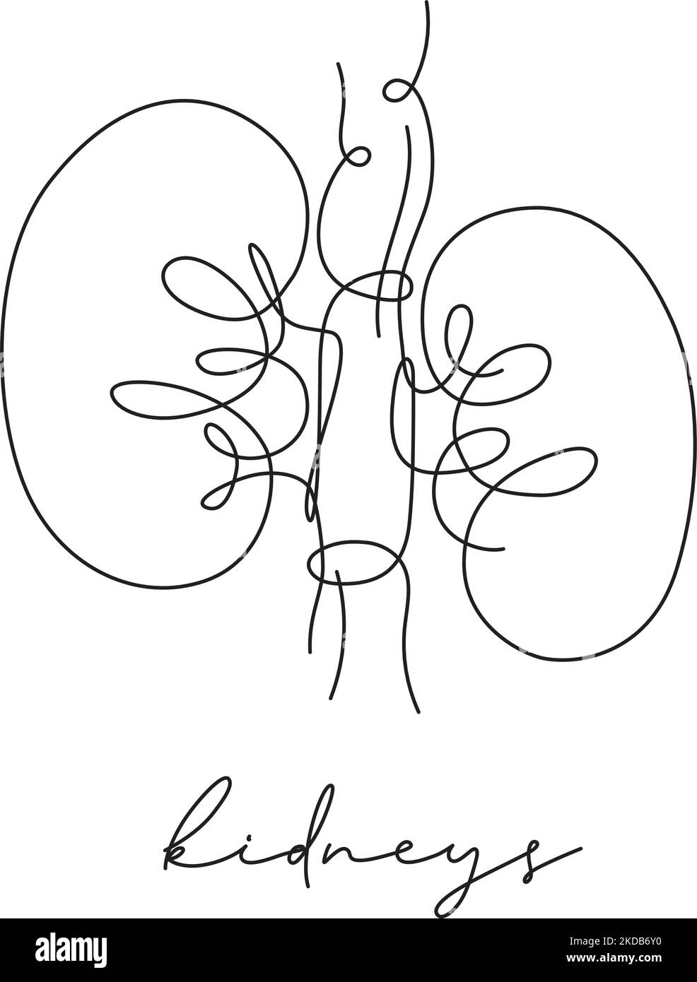 Poster a penna con linee di rene disegno a penna con linee su sfondo bianco Illustrazione Vettoriale