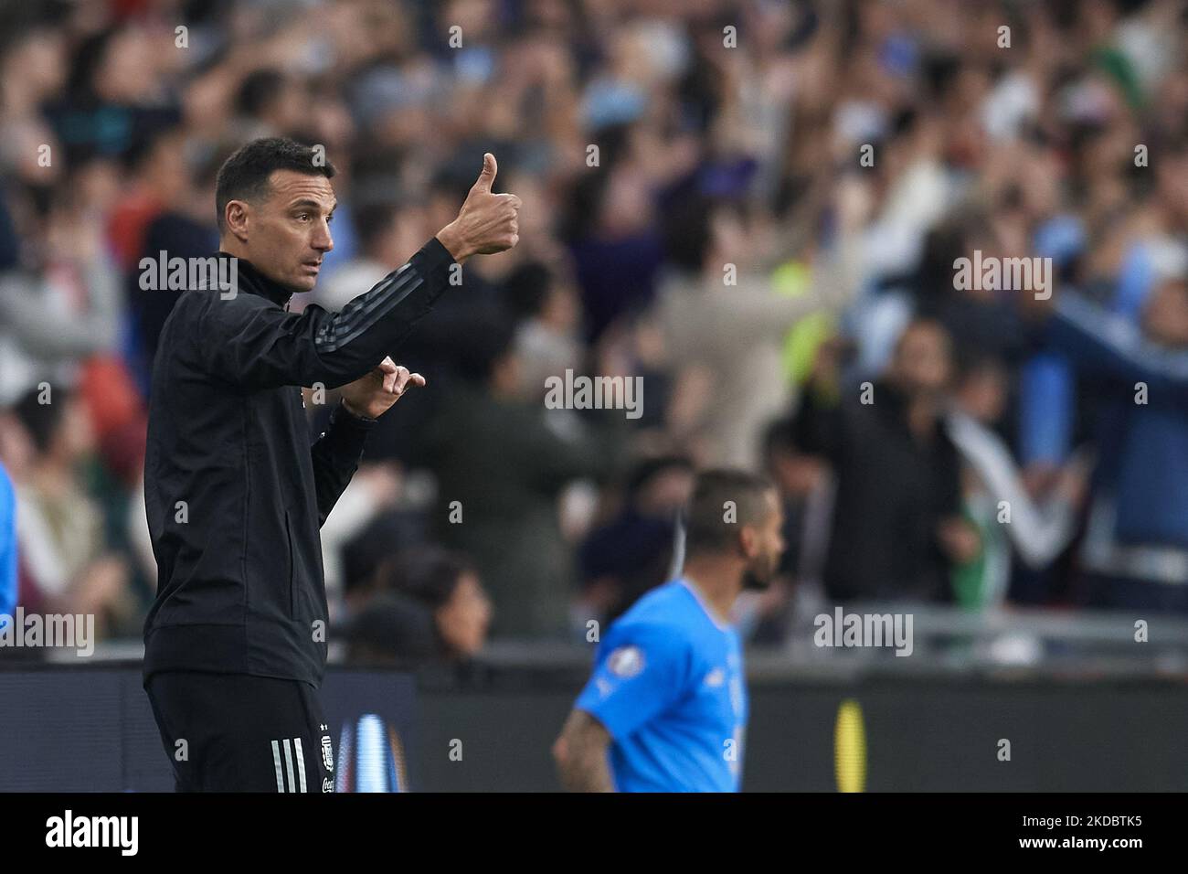 Lionel scaloni capo allenatore immagini e fotografie stock ad alta