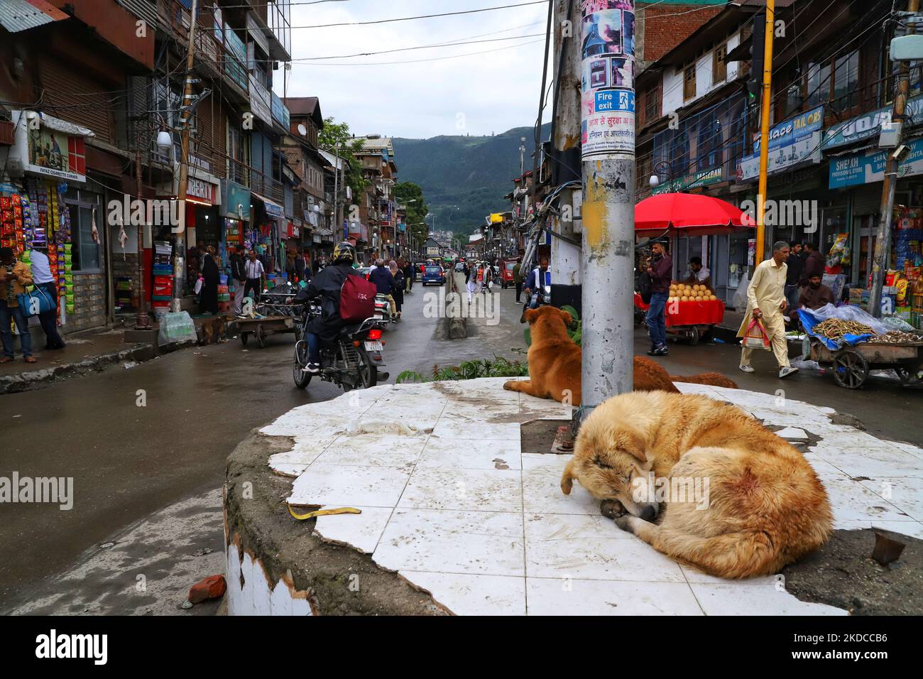 Un cane dorme su una cabina di traffico mentre i pendolari camminano a Baramulla, Jammu e Kashmir, India 20 giugno 2022. (Foto di Nasir Kachroo/NurPhoto) Foto Stock