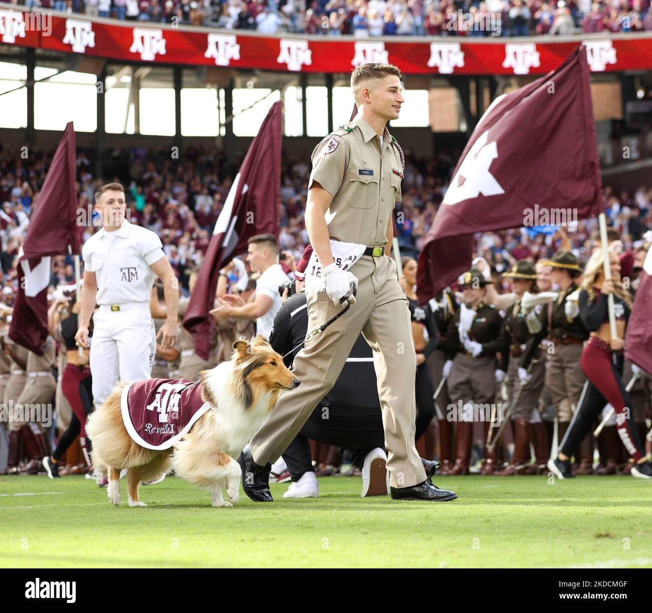 5 novembre 2022: Grayson Poage conduce Reveille X sul campo prima di una partita di calcio dell'università NCAA tra Texas A&M e Florida il 5 novembre 2022 a College Station. La Florida ha vinto 41-24. (Credit Image: © Scott Coleman/ZUMA Press Wire) Foto Stock