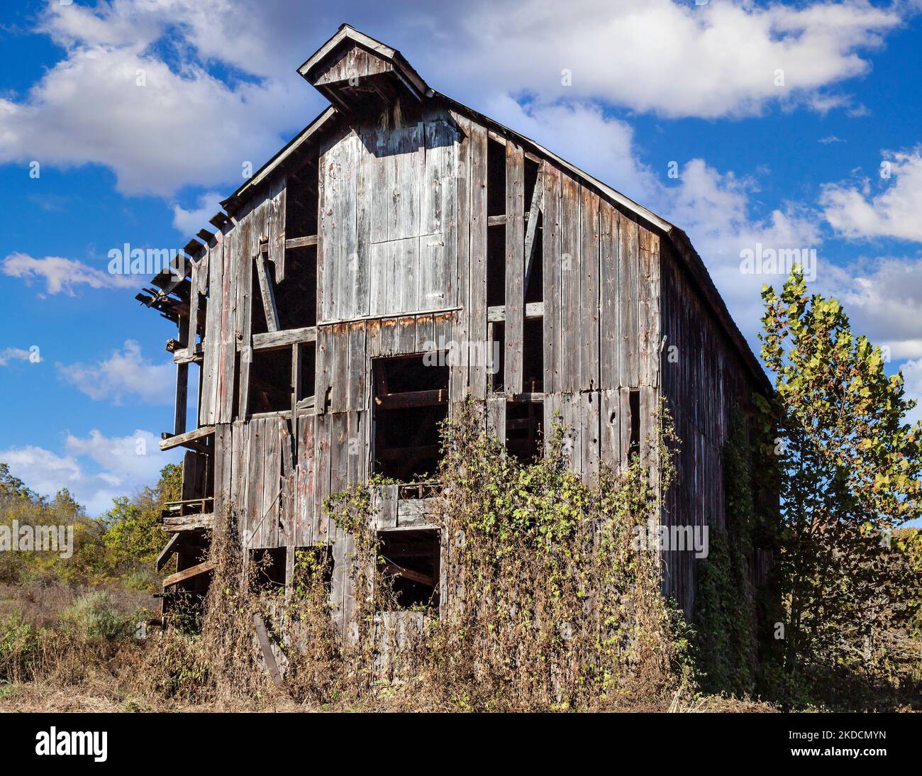 Paesaggio rurale paesaggistico campagna con un vecchio fienile Foto Stock