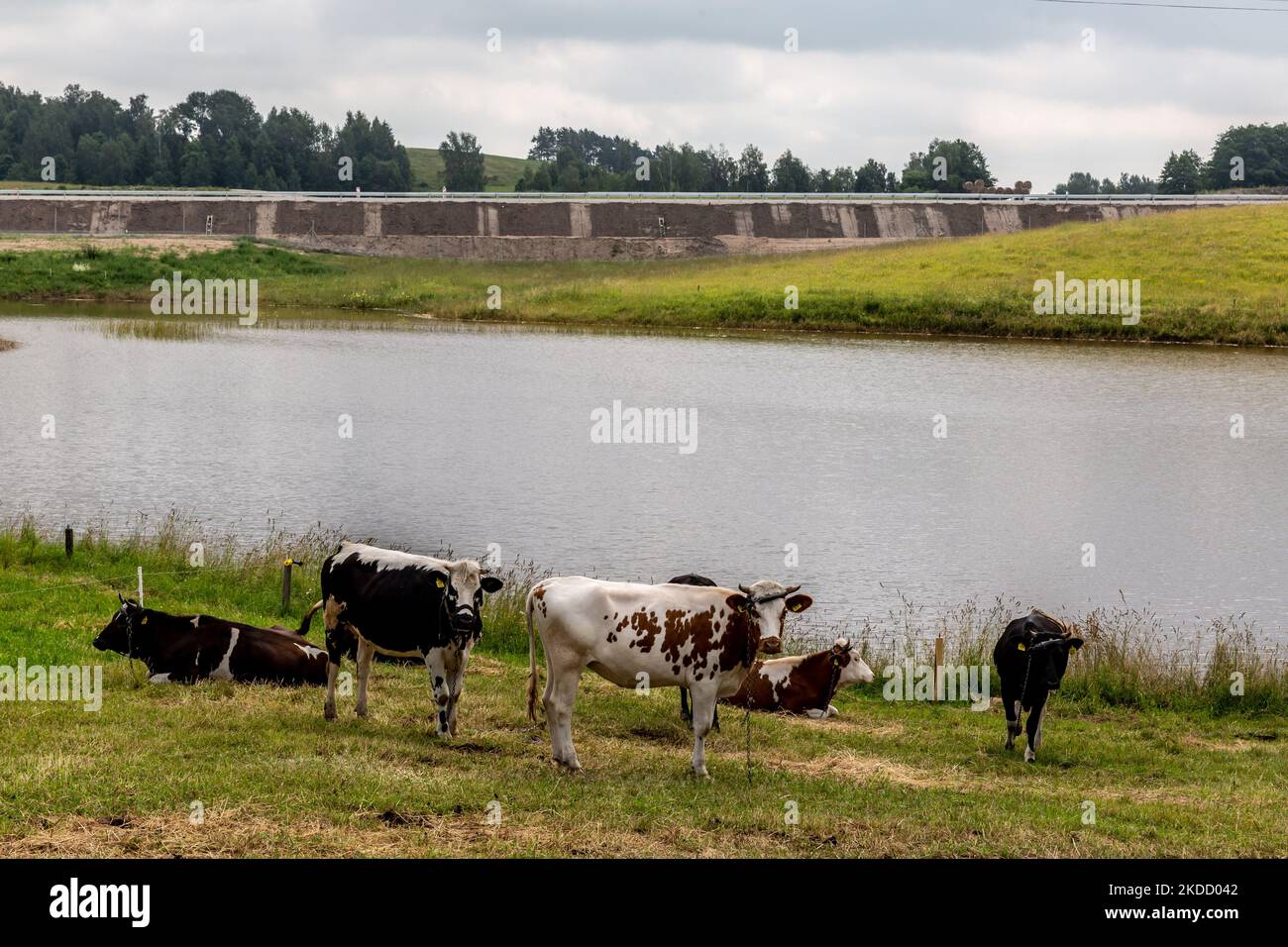 Le Caws riposano sul lato polacco del Suwalki Gap in un paesaggio rurale agricolo con S67 strada per la Lituania (via Baltica) sullo sfondo il 29 giugno 2022 al confine polacco-lituano. Il confine polacco con la Lituania si trova tra l'oblast di Kaliningrad (parte della Russia) e la Bielorussia e si estende per 100 chilometri. L'area si chiama Suwalki Gap ed è l'unico collegamento tra gli Stati baltici e il resto della NATO e dell'Unione europea. Dopo che la Lituania si è rifiutata di trasportare merci sanzionate per ferrovia dalla terraferma russa a Kaliningrad, Vladimir Putin, presidente russo, ha minacciato la Lituania di se stessa Foto Stock
