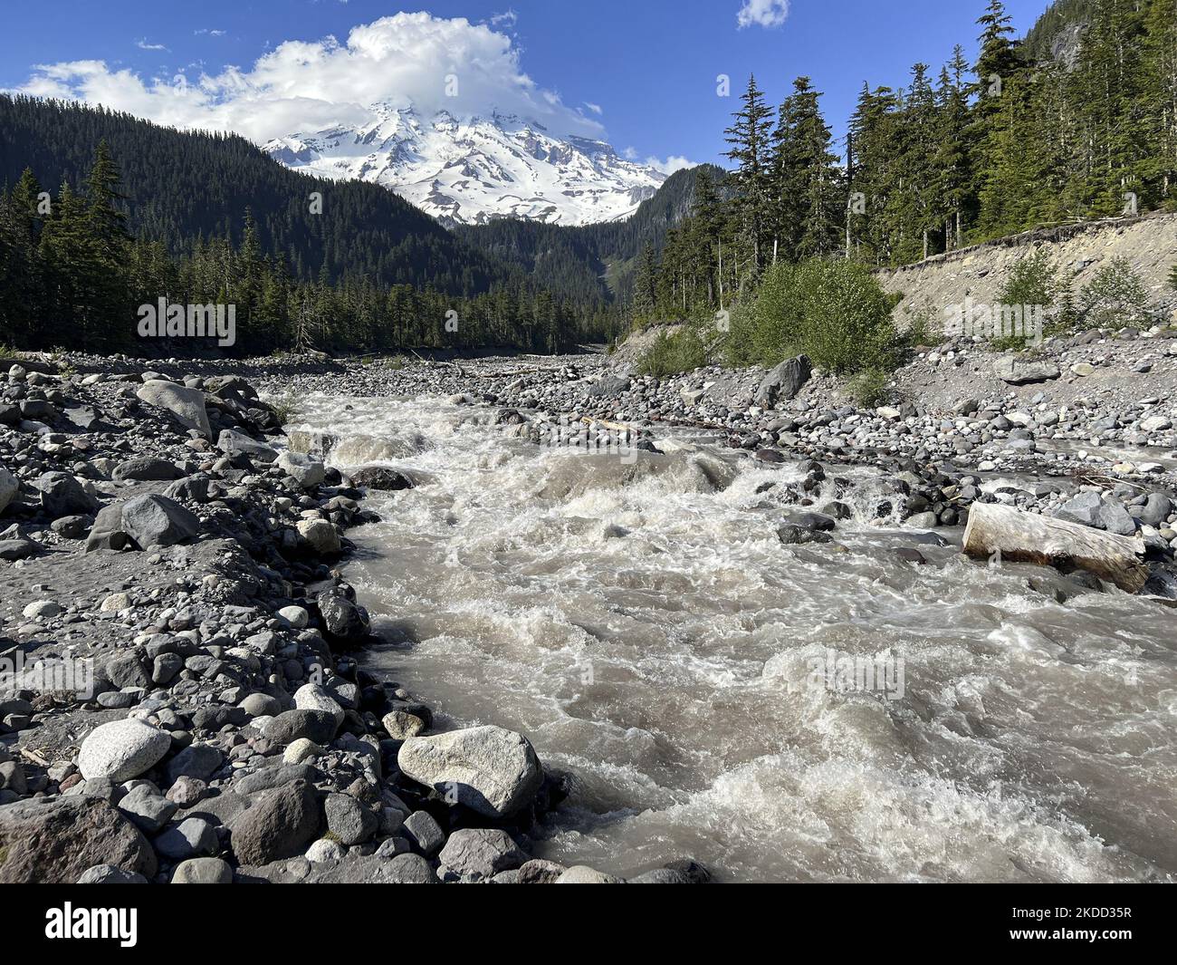 Il fiume Nisqually è alimentato dal ghiacciaio Nisqually sul Monte Rainier nel Parco Nazionale del Monte Rainier martedì 28 2022 giugno. Il fiume glaciale è costantemente rielaborato dall'acqua che scorre dal Ghiacciaio di Nisqually. Il fiume è carico di rocce fini e sedimenti macinati dal letto del ghiacciaio, colorando l'acqua di un bianco lattiginoso. Foto di Tom o'Neill (Foto di Thomas o'Neill/NurPhoto) Foto Stock