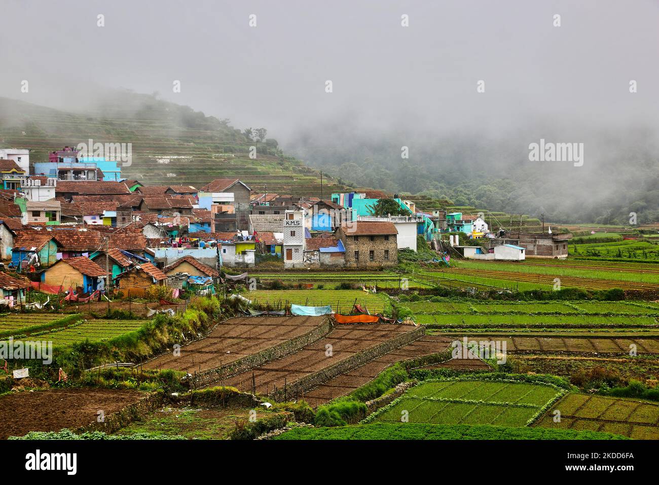 Terreno agricolo che circonda il villaggio di Poombarai a Kodaikanal, Tamil Nadu, India, il 17 maggio 2022. Il villaggio di Poombarai si trova nel cuore delle colline Palani ad un'altitudine di circa 6300 metri sul livello del mare. (Foto di Creative Touch Imaging Ltd./NurPhoto) Foto Stock