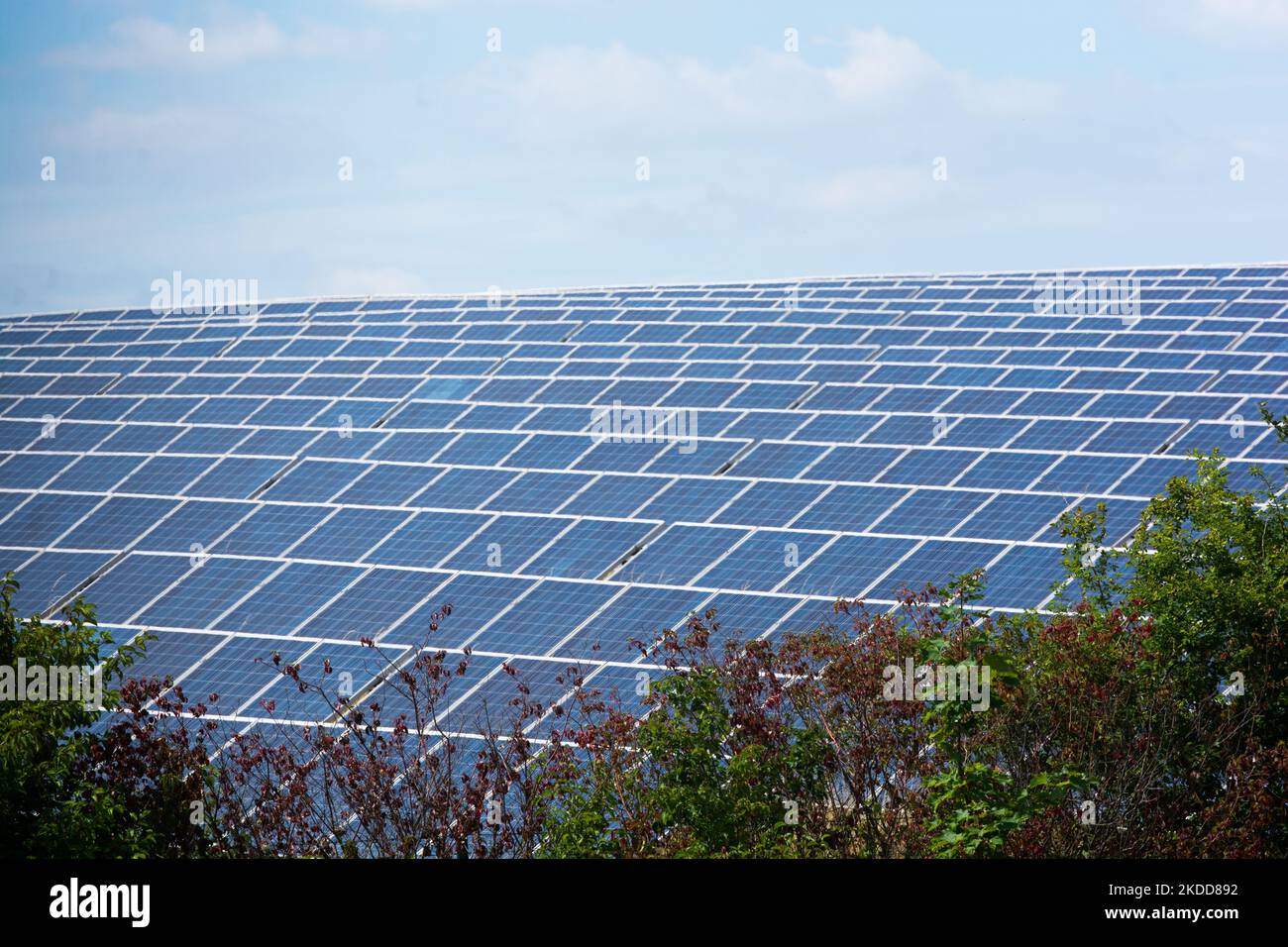 Vista generale di Inden Solar Park è visto a Solarpark Inden a Weisweiler, Germania il 6 luglio 2022 (Foto di Ying Tang/NurPhoto) Foto Stock