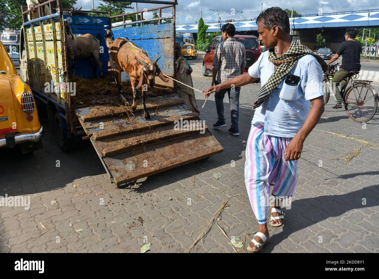 I venditori sono visti scaricare bestiame per la vendita in un mercato temporaneo davanti a Eid-UL-Adha a Kolkata (India) il 7 luglio 2022. (Foto di Debarchan Chatterjee/NurPhoto) Foto Stock