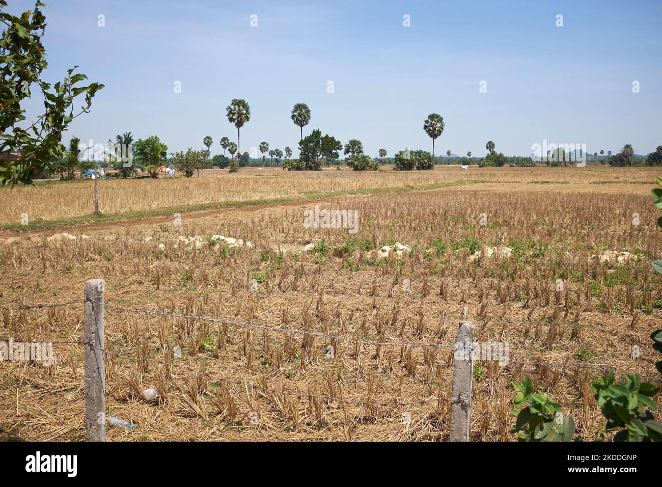 Kep Cambogia Foto Stock