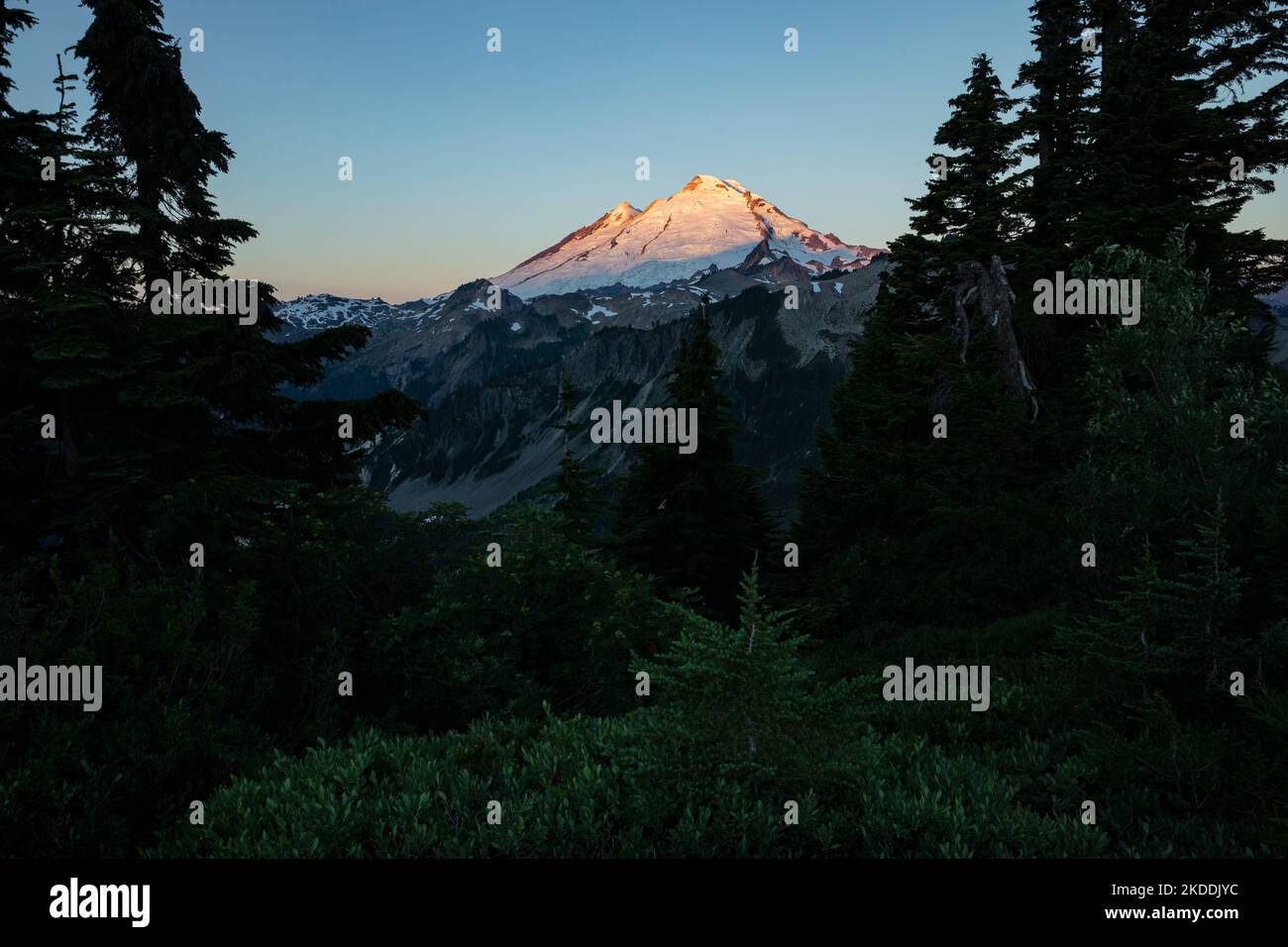 WA22715-00...WASHINGTON - luce del sole sul Monte Baker all'alba vista da Artist Point nell'area ricreativa di Heather Meadows a Mount Baker-Snoqualmie Foto Stock