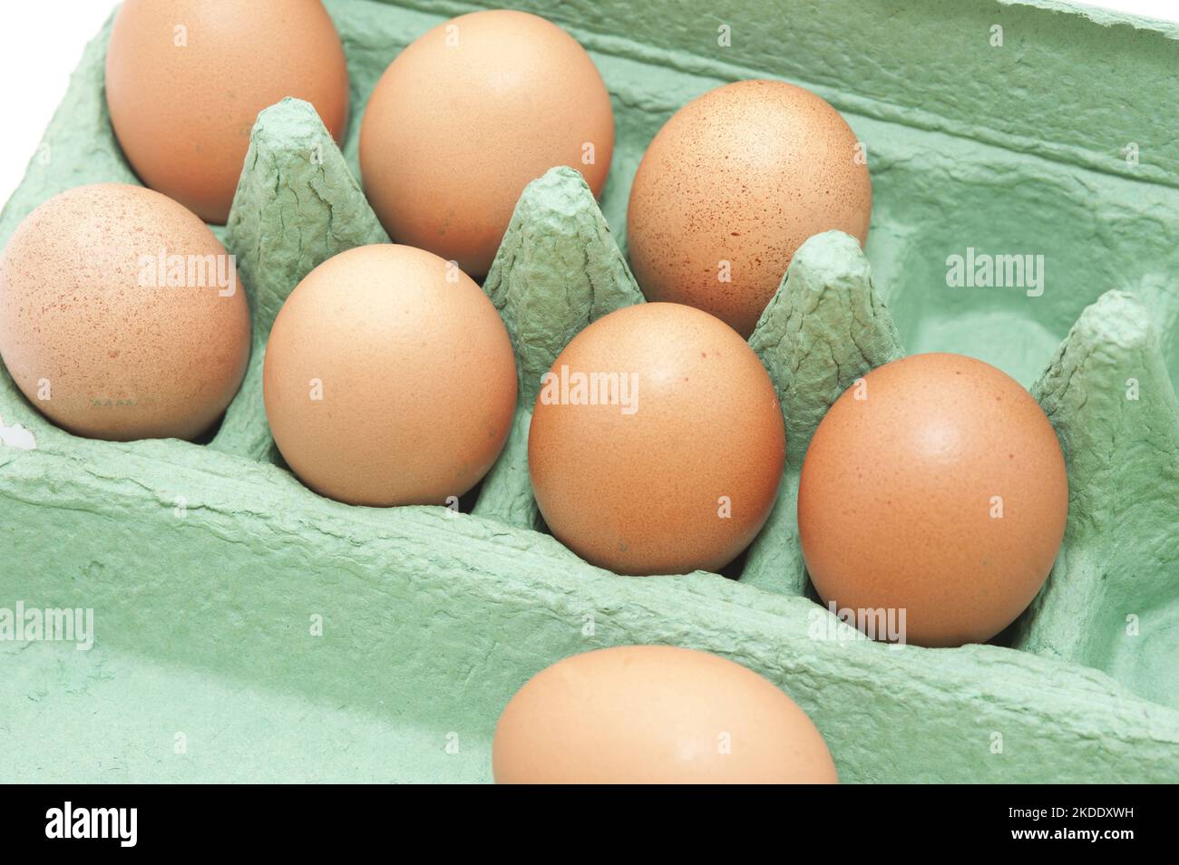Uova di galline marroni fresche in una confezione di cartone per la vendita al dettaglio, vista ad angolo alto della scatola aperta Foto Stock