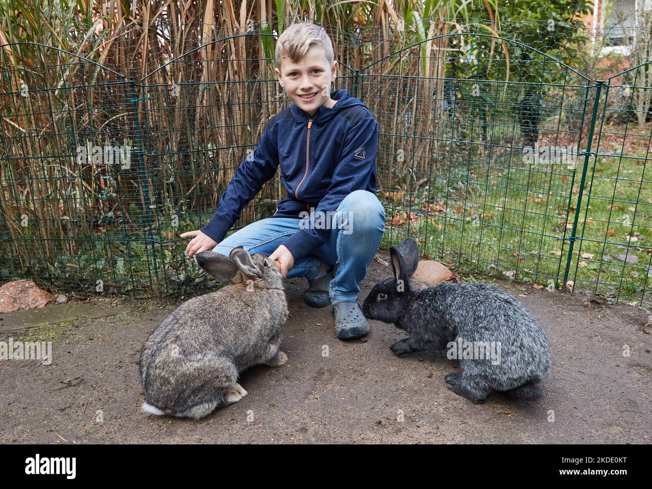 Amburgo, Germania. 21st Ott 2022. Nel giardino della casa dei suoi genitori, Nevio nutre i suoi due conigli James e Lilly, sui quali ha anche fatto un video. Il nove di Amburgo è stato nominato per il German Multimedia Award, che sarà consegnato a Dresda il 12 novembre 2022, con il suo film di animazione "Achtung im Straßenverkehr". (A dpa 'Nine-year-old from Hamburg Nomined for German Multimedia Award') Credit: Georg Wendt/dpa/Alamy Live News Foto Stock