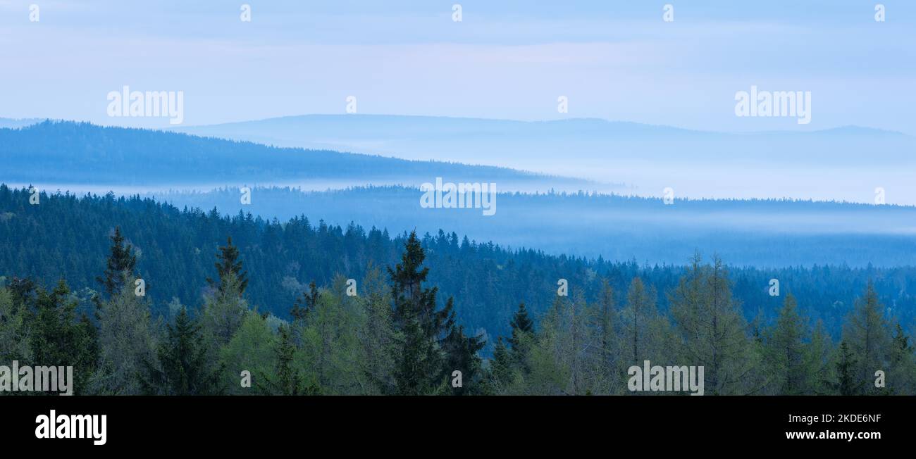 Panorama, vista su infinite foreste con nebbia mattutina, Fichtelgebirge, alta Franconia, Franconia, Baviera, Germania Foto Stock