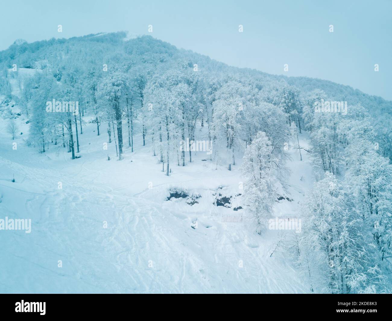 Uno splendido paesaggio alpino invernale di neve. Foresta di montagna nella neve dopo una caduta di neve fresca Foto Stock