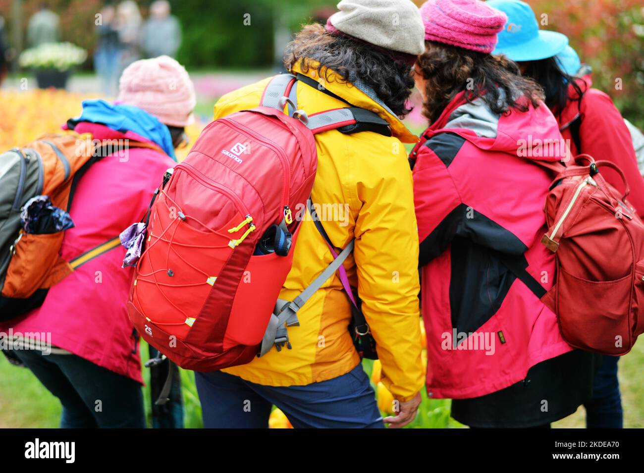 Keukenhof nei Paesi Bassi è stato a lungo una calamita per il turismo internazionale, ma è particolarmente attraente durante la stagione di fioritura dei tulipani, come Foto Stock