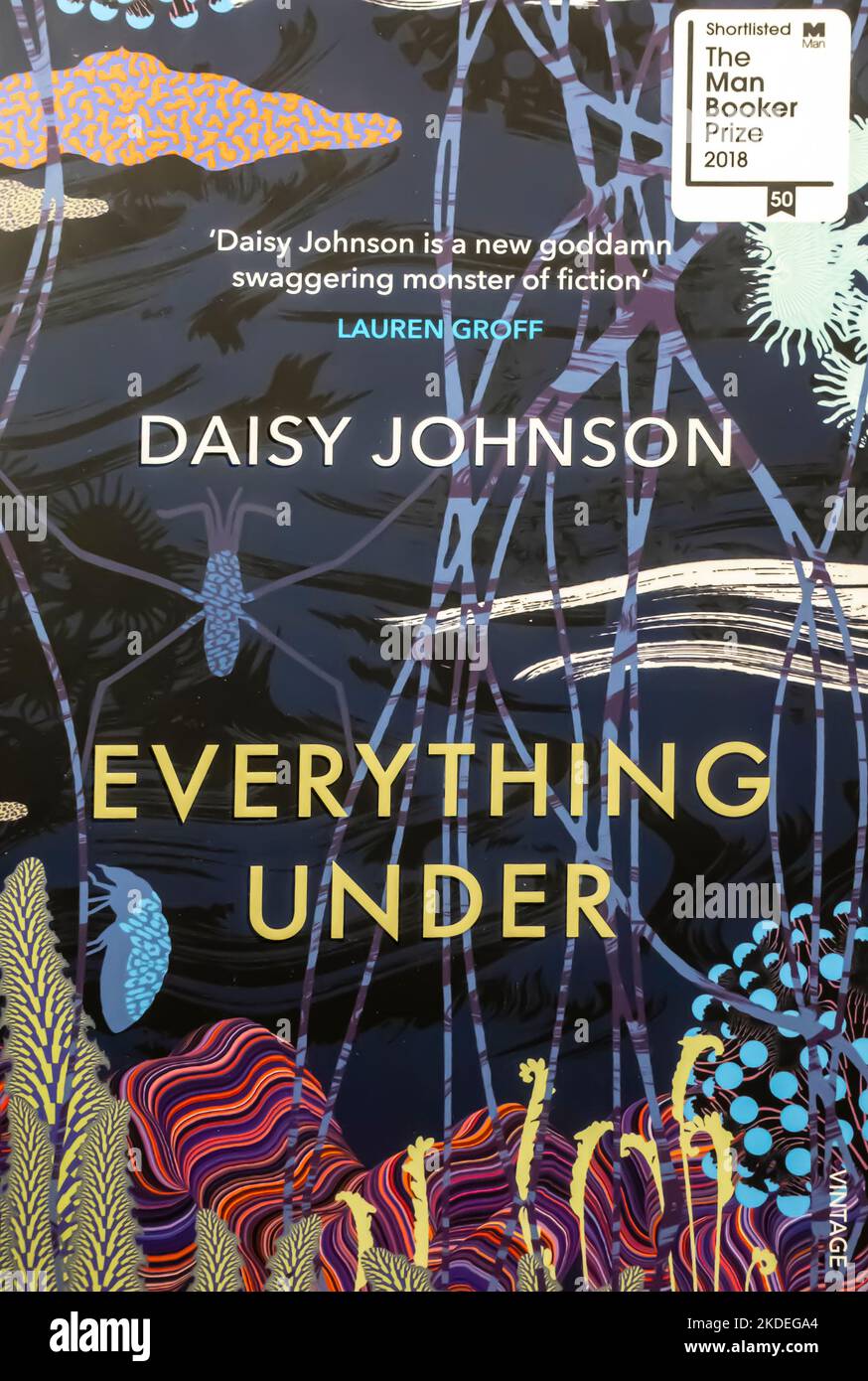 Everything under Book di Daisy Johnson 2018 Foto Stock