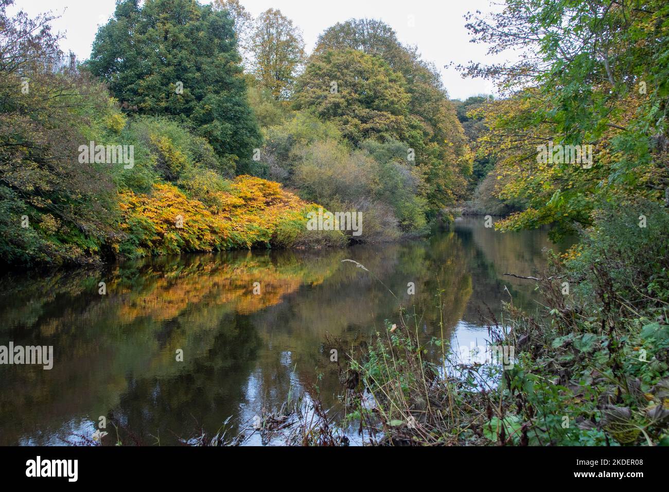 Colore autunnale su The River Wear a Durham City UK Foto Stock
