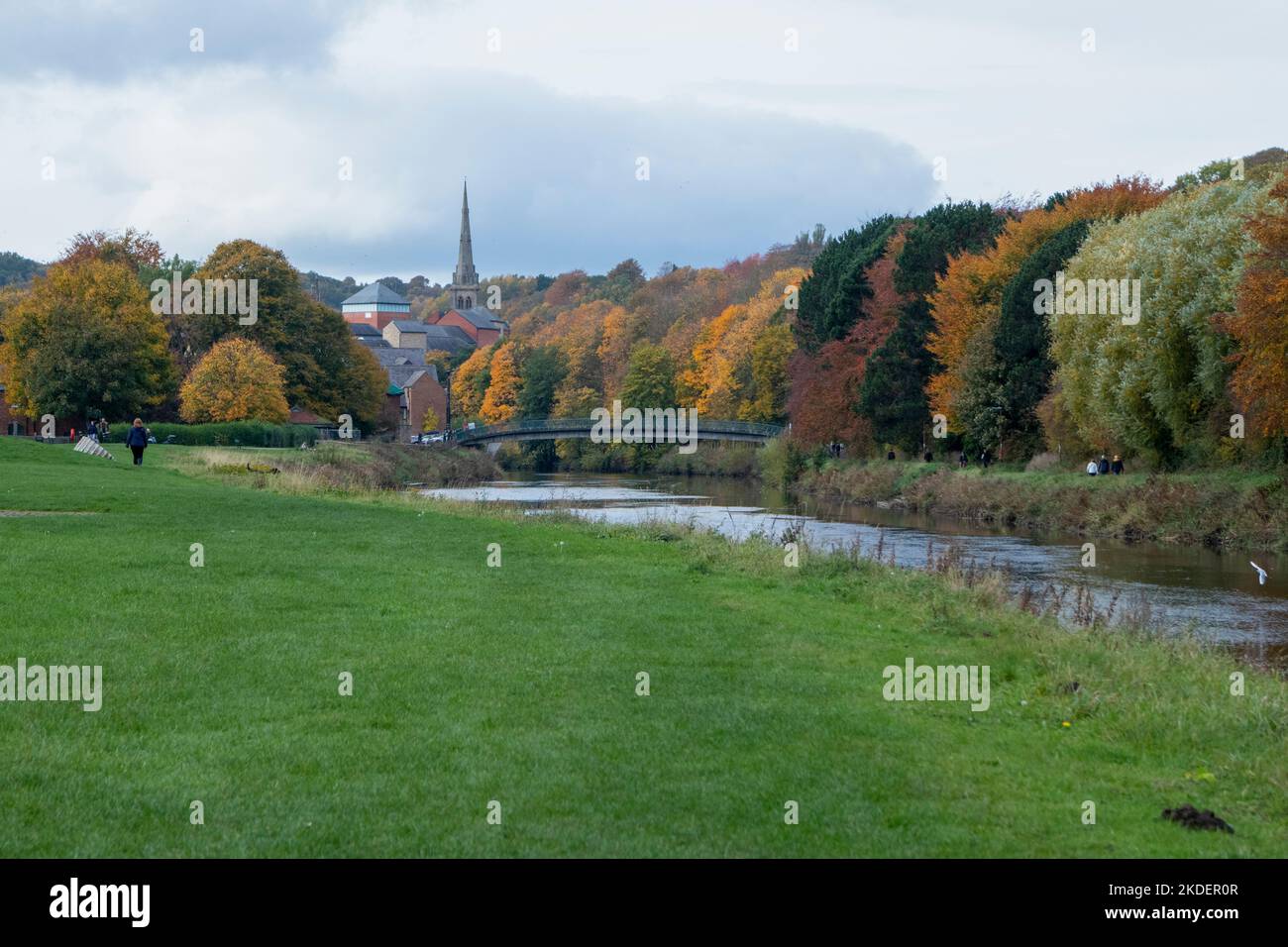 Colore autunnale su The River Wear a Durham City UK Foto Stock