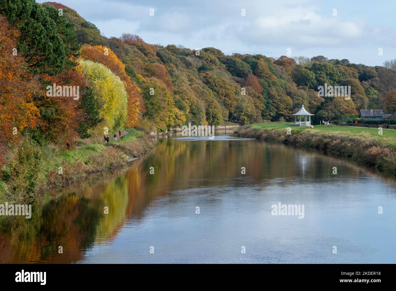 Colore autunnale su The River Wear a Durham City UK Foto Stock
