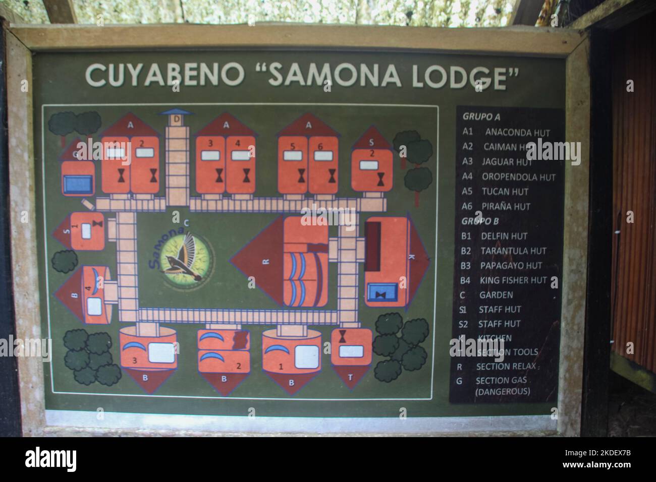 La foresta amazzonica ecuadoriana fotografata presso la riserva Cuyabeno Ecuador Foto Stock