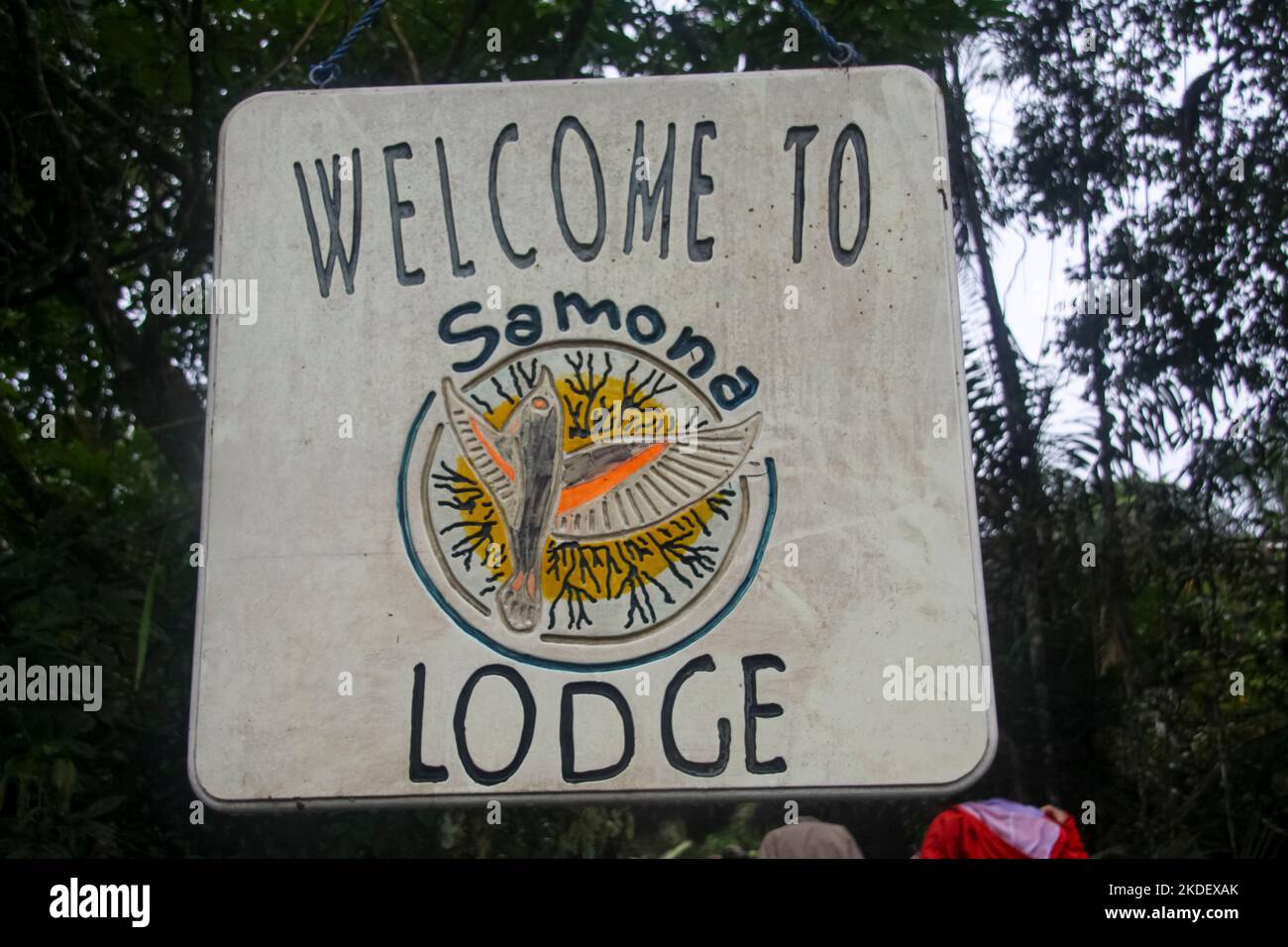 La foresta amazzonica ecuadoriana fotografata presso la riserva Cuyabeno Ecuador Foto Stock