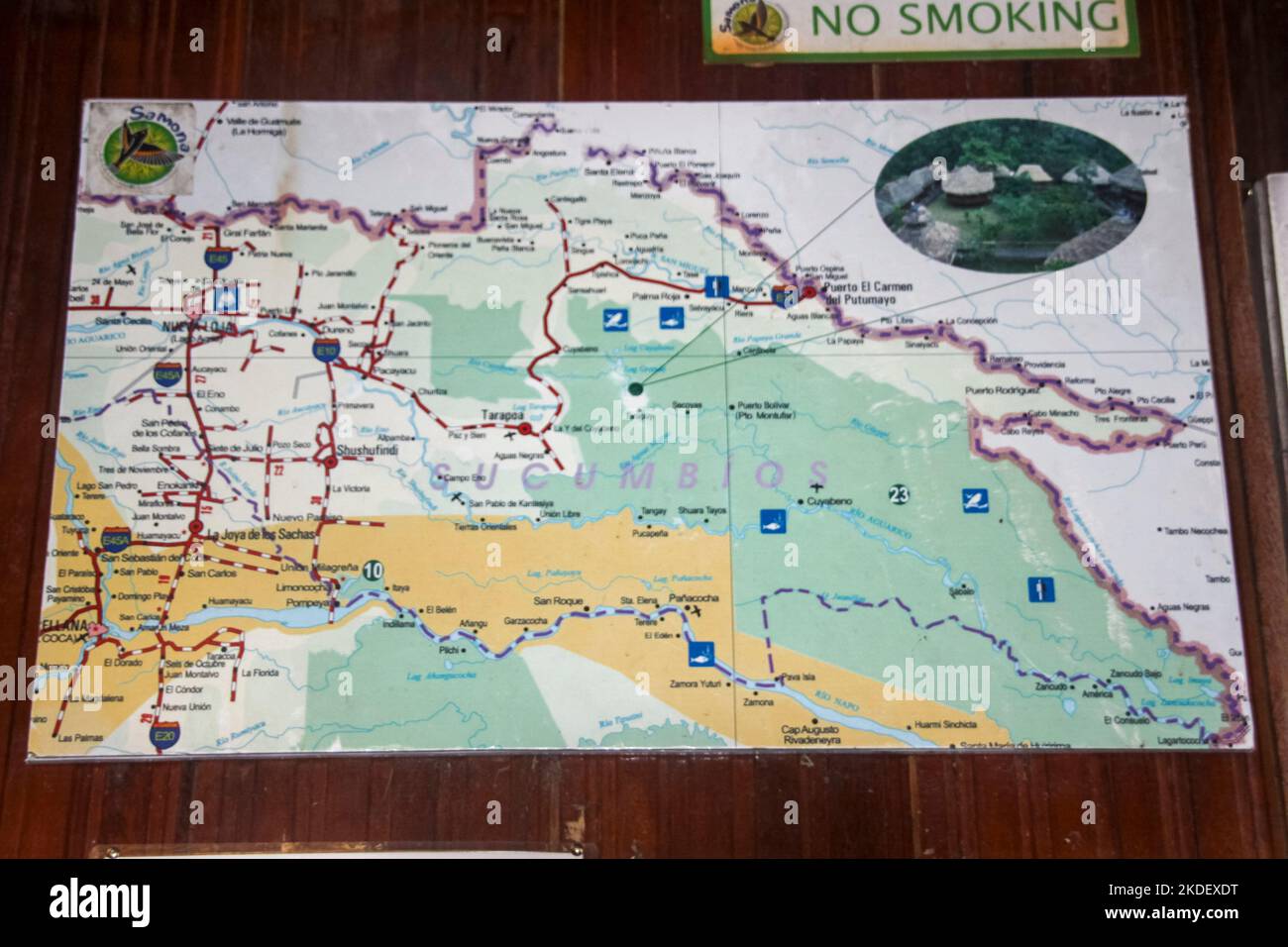 La foresta amazzonica ecuadoriana fotografata presso la riserva Cuyabeno Ecuador Foto Stock